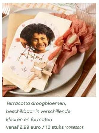 Promoties Terracotta droogbloemen - Huismerk - Ava - Geldig van 29/01/2024 tot 31/07/2024 bij Ava