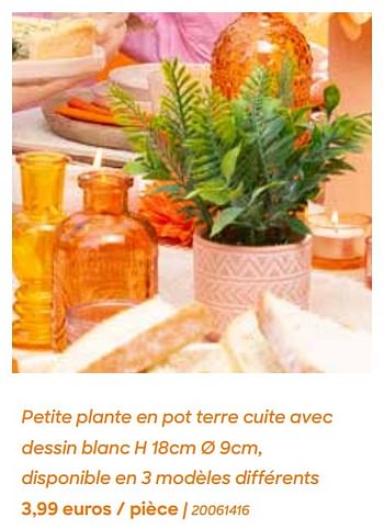 Promotions Petite plante en pot terre cuite avec dessin blanc - Produit Maison - Ava - Valide de 29/01/2024 à 31/07/2024 chez Ava