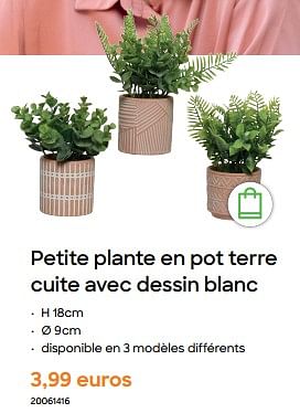 Promotions Petite plante en pot terre cuite avec dessin blanc - Produit Maison - Ava - Valide de 29/01/2024 à 31/07/2024 chez Ava