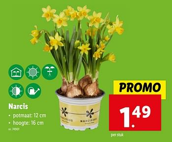 Promoties Narcis - Huismerk - Lidl - Geldig van 07/02/2024 tot 13/02/2024 bij Lidl