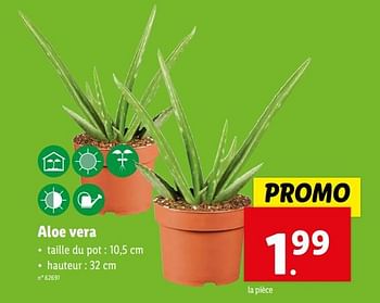 Promotions Aloe vera - Produit maison - Lidl - Valide de 07/02/2024 à 13/02/2024 chez Lidl