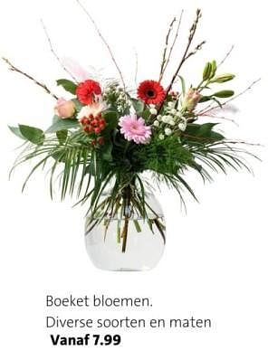 Promoties Boeket bloemen - Huismerk - Intratuin - Geldig van 05/02/2024 tot 11/02/2024 bij Intratuin