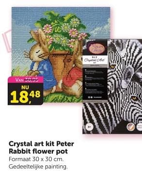 Promoties Crystal art kit peter rabbit flower pot - Crystal Art Kit - Geldig van 03/02/2024 tot 11/02/2024 bij BoekenVoordeel