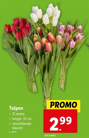 Promoties Tulpen - Huismerk - Lidl - Geldig van 14/02/2024 tot 20/02/2024 bij Lidl