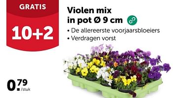 Promoties Violen mix in pot - Huismerk - Aveve - Geldig van 14/02/2024 tot 10/03/2024 bij Aveve
