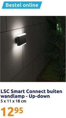 Promoties Lsc smart connect buiten wandlamp - up-down - LSC Smart Connect - Geldig van 14/02/2024 tot 20/02/2024 bij Action