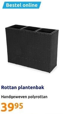 Promoties Rottan plantenbak - Huismerk - Action - Geldig van 14/02/2024 tot 20/02/2024 bij Action