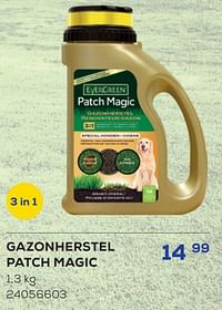 Gazonherstel patch magic-Evergreen