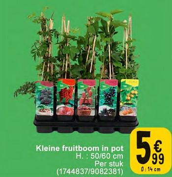 Promoties Kleine fruitboom in pot - Huismerk - Cora - Geldig van 20/02/2024 tot 04/03/2024 bij Cora
