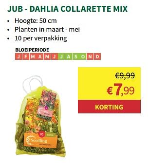 Promoties Jub dahlia collarette mix - JUB - Geldig van 19/02/2024 tot 25/02/2024 bij Horta