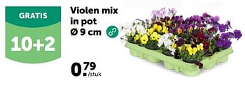 Promoties Violen mix in pot - Huismerk - Aveve - Geldig van 28/02/2024 tot 10/03/2024 bij Aveve