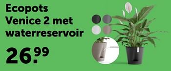 Promoties Ecopots venice 2 met waterreservoir - Ecopots - Geldig van 28/02/2024 tot 10/03/2024 bij Aveve
