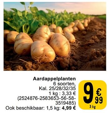 Promoties Aardappelplanten - Huismerk - Cora - Geldig van 27/02/2024 tot 11/03/2024 bij Cora