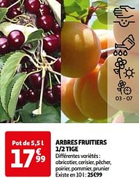 Arbres fruitiers 1-2 tige-Huismerk - Auchan
