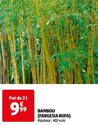 Bambou fargesia rufa-Huismerk - Auchan