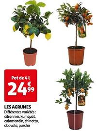 Les agrumes-Huismerk - Auchan