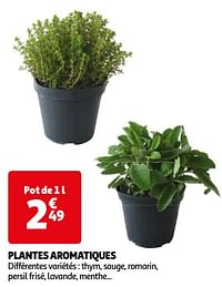 Plantes aromatiques-Huismerk - Auchan