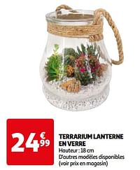 Terrarium lanterne en verre-Huismerk - Auchan