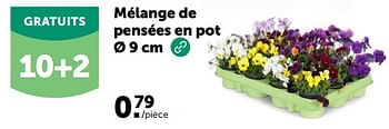 Promotions Mélange de pensées en pot - Produit maison - Aveve - Valide de 28/02/2024 à 10/03/2024 chez Aveve