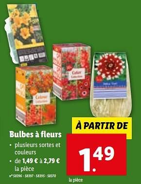 Promotions Bulbes à fleurs - Produit maison - Lidl - Valide de 28/02/2024 à 05/03/2024 chez Lidl