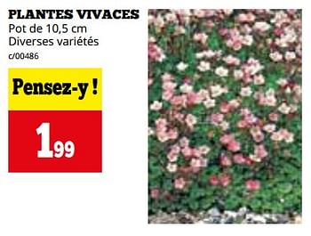 Promoties Plantes vivaces - Huismerk - Dema - Geldig van 04/03/2024 tot 31/03/2024 bij Dema