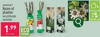 Promoties Rozen of planten - Garden line - Geldig van 06/03/2024 tot 10/03/2024 bij Aldi