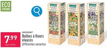 Promotions Bulbes à fleurs vivaces - Garden line - Valide de 06/03/2024 à 10/03/2024 chez Aldi