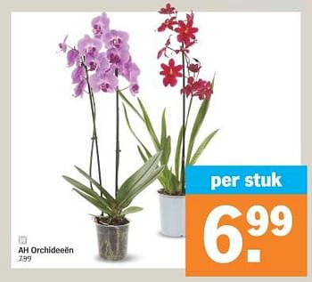 Promotions Ah orchideeen - Produit Maison - Albert Heijn - Valide de 04/03/2024 à 10/03/2024 chez Albert Heijn