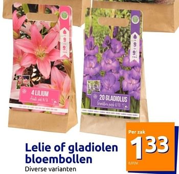 Promoties Lelie of gladiolen bloembollen - Huismerk - Action - Geldig van 06/03/2024 tot 12/03/2024 bij Action