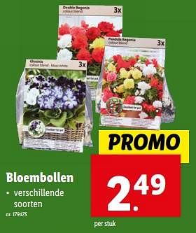 Promoties Bloembollen - Huismerk - Lidl - Geldig van 13/03/2024 tot 19/03/2024 bij Lidl