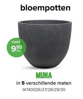 Promoties Bloempotten muna - Huismerk - Euroshop - Geldig van 08/03/2024 tot 14/04/2024 bij Euro Shop