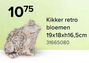 Promoties Kikker retro bloemen - Huismerk - Euroshop - Geldig van 08/03/2024 tot 14/04/2024 bij Euro Shop