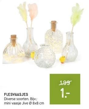Promotions Flesvaasjes - Huismerk - Xenos - Valide de 10/03/2024 à 23/03/2024 chez Xenos