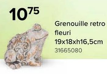 Promotions Grenouille retro fleuri - Produit Maison - Euroshop - Valide de 08/03/2024 à 14/04/2024 chez Euro Shop