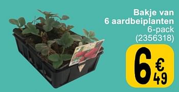 Promoties Bakje van 6 aardbeiplanten - Huismerk - Cora - Geldig van 12/03/2024 tot 25/03/2024 bij Cora