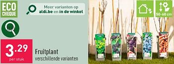 Promoties Fruitplant - Huismerk - Aldi - Geldig van 23/03/2024 tot 24/03/2024 bij Aldi