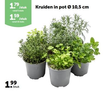 Promotions Kruiden in pot - Produit maison - Aveve - Valide de 13/03/2024 à 24/03/2024 chez Aveve