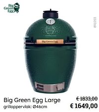 Big green egg large-BigGreenEgg