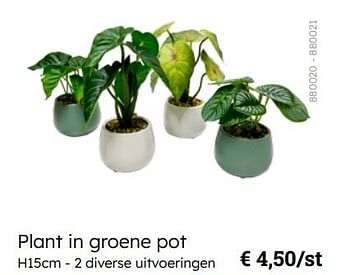 Promotions Plant in groene pot - Produit Maison - Multi Bazar - Valide de 08/03/2024 à 30/06/2024 chez Multi Bazar