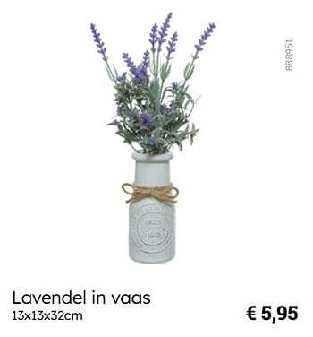 Promoties Lavendel in vaas - Huismerk - Multi Bazar - Geldig van 08/03/2024 tot 30/06/2024 bij Multi Bazar
