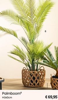 Palmboom-Huismerk - Multi Bazar