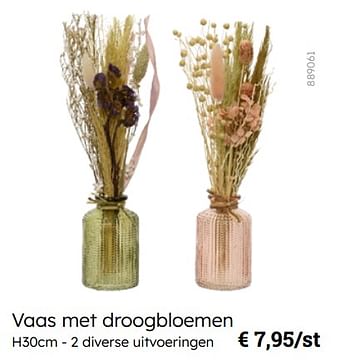 Promoties Vaas met droogbloemen - Huismerk - Multi Bazar - Geldig van 08/03/2024 tot 30/06/2024 bij Multi Bazar