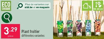 Promotions Plant fruitier - Produit maison - Aldi - Valide de 23/03/2024 à 24/03/2024 chez Aldi