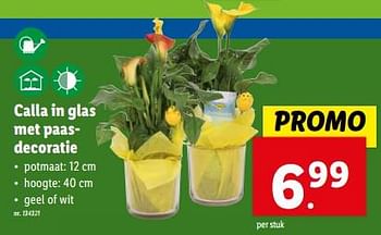 Promoties Calla in glas met paasdecoratie - Huismerk - Lidl - Geldig van 20/03/2024 tot 26/03/2024 bij Lidl