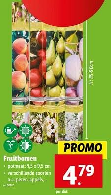 Promoties Fruitbomen - Huismerk - Lidl - Geldig van 20/03/2024 tot 26/03/2024 bij Lidl