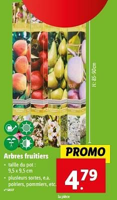 Promotions Arbres fruitiers - Produit maison - Lidl - Valide de 20/03/2024 à 26/03/2024 chez Lidl