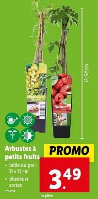 Promotions Arbustes à petits fruits - Produit maison - Lidl - Valide de 20/03/2024 à 26/03/2024 chez Lidl