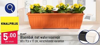 Promoties Bloembak met waterreservoir - Belavi - Geldig van 25/03/2024 tot 30/03/2024 bij Aldi