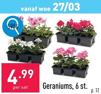Promoties Geraniums - Huismerk - Aldi - Geldig van 25/03/2024 tot 30/03/2024 bij Aldi
