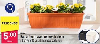 Promoties Bac à fleurs avec réservoir d’eau - Belavi - Geldig van 25/03/2024 tot 30/03/2024 bij Aldi
